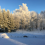 Klykių Apartamentai | Kiemas žiemą